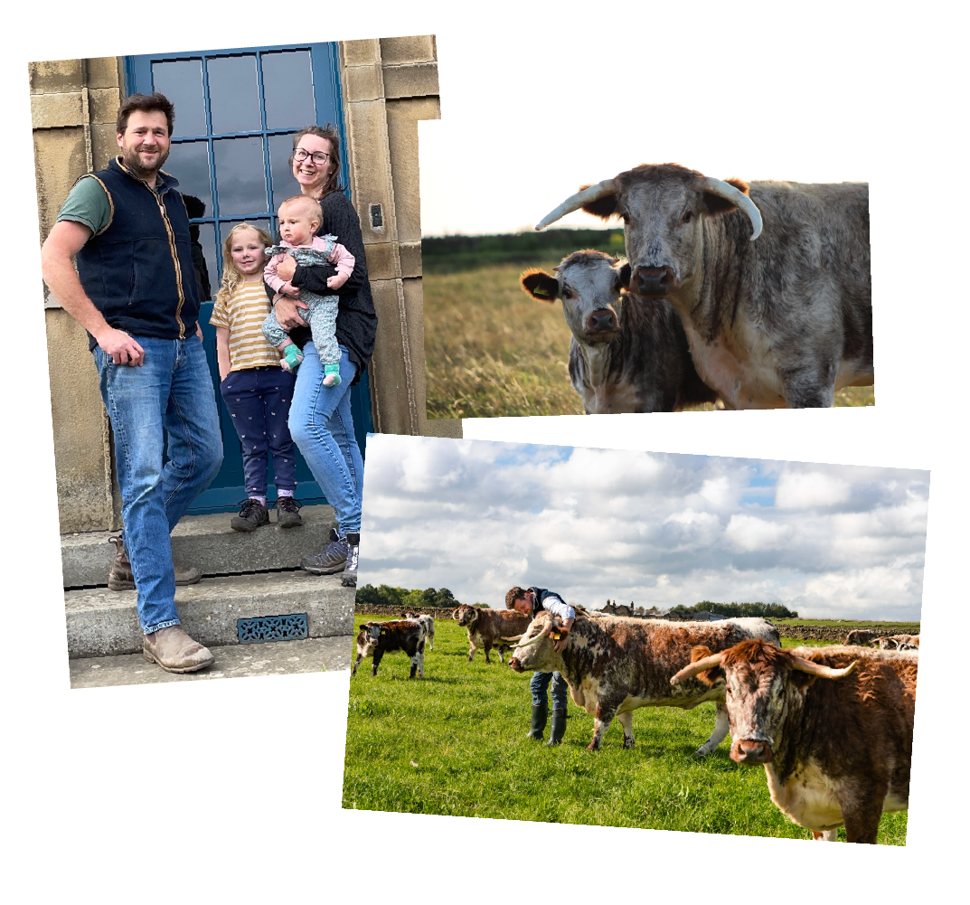Compilation of images showing the family and cattle